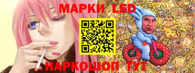 крисы Камышлов
