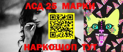 крисы Камышлов