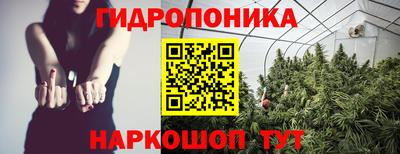 крисы Камышлов