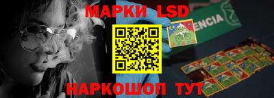 крисы Камышлов