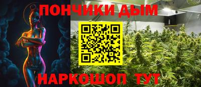 крисы Камышлов