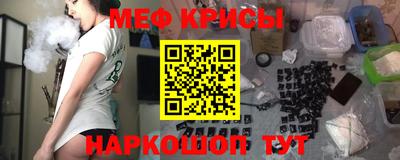 крисы Камышлов