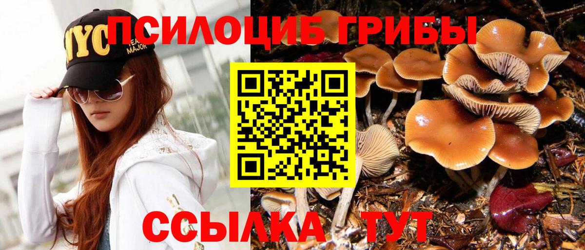 Галлюциногенные грибы GOLDEN TEACHER  Вход с VPN  Кореновск 