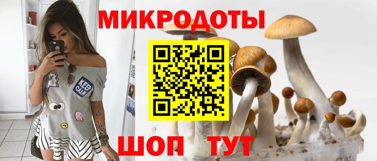 Псилоцибиновые грибы MAGIC MUSHROOMS Кореновск