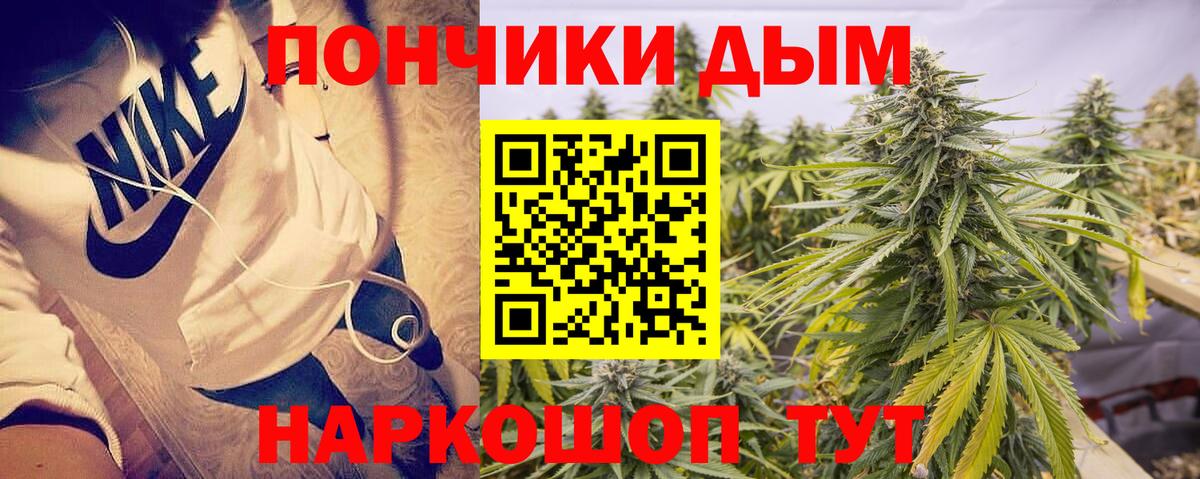 Бошки марихуана ГИДРОПОН  Вход с VPN  Бошки марихуана ГИДРОПОН  Кореновск  Конопля сатива  МАРИХУАНА Bruce Banner 